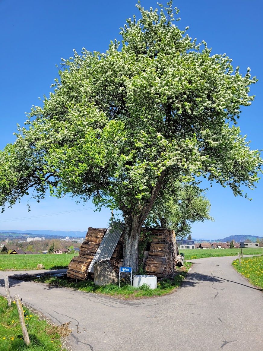 Granitweg-Frühling-2024