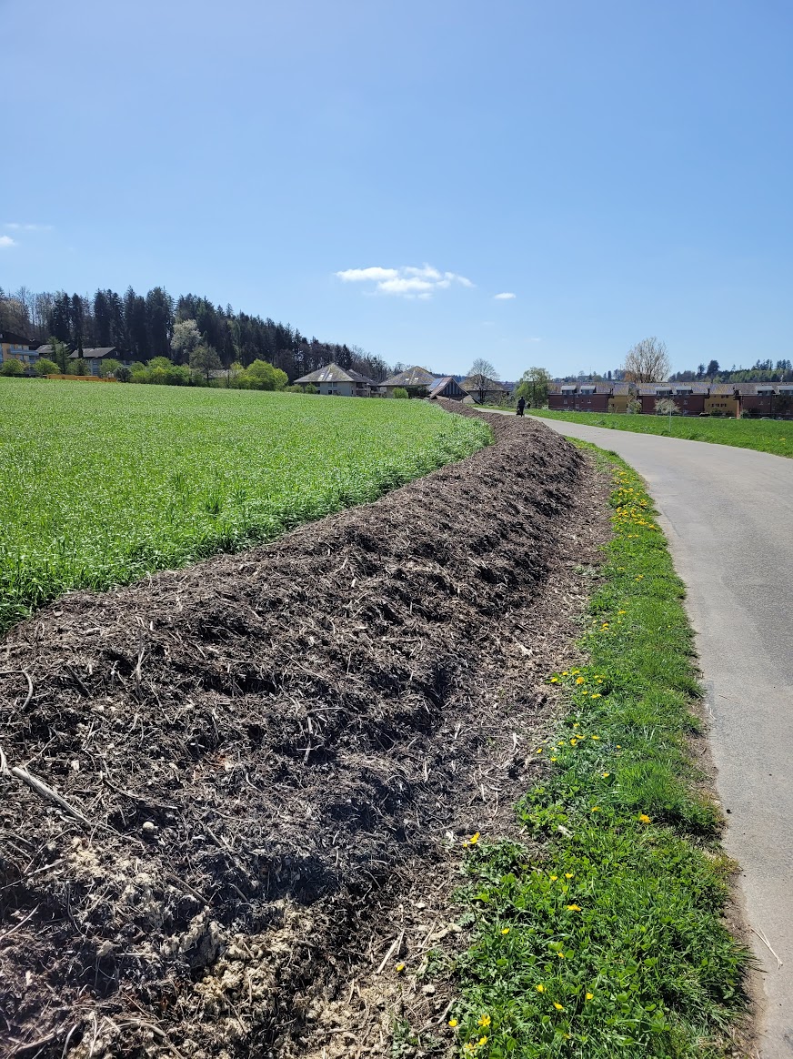 Granitweg-Spazierweg-20240411